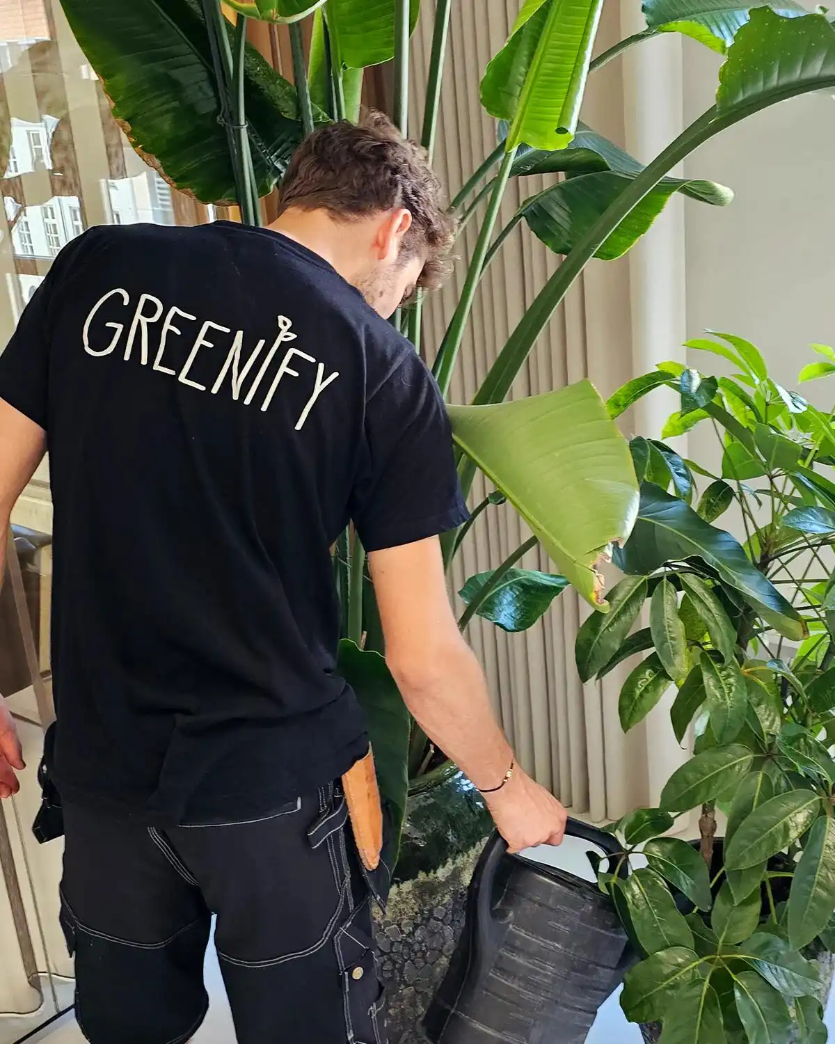 Greenify - Planteservice