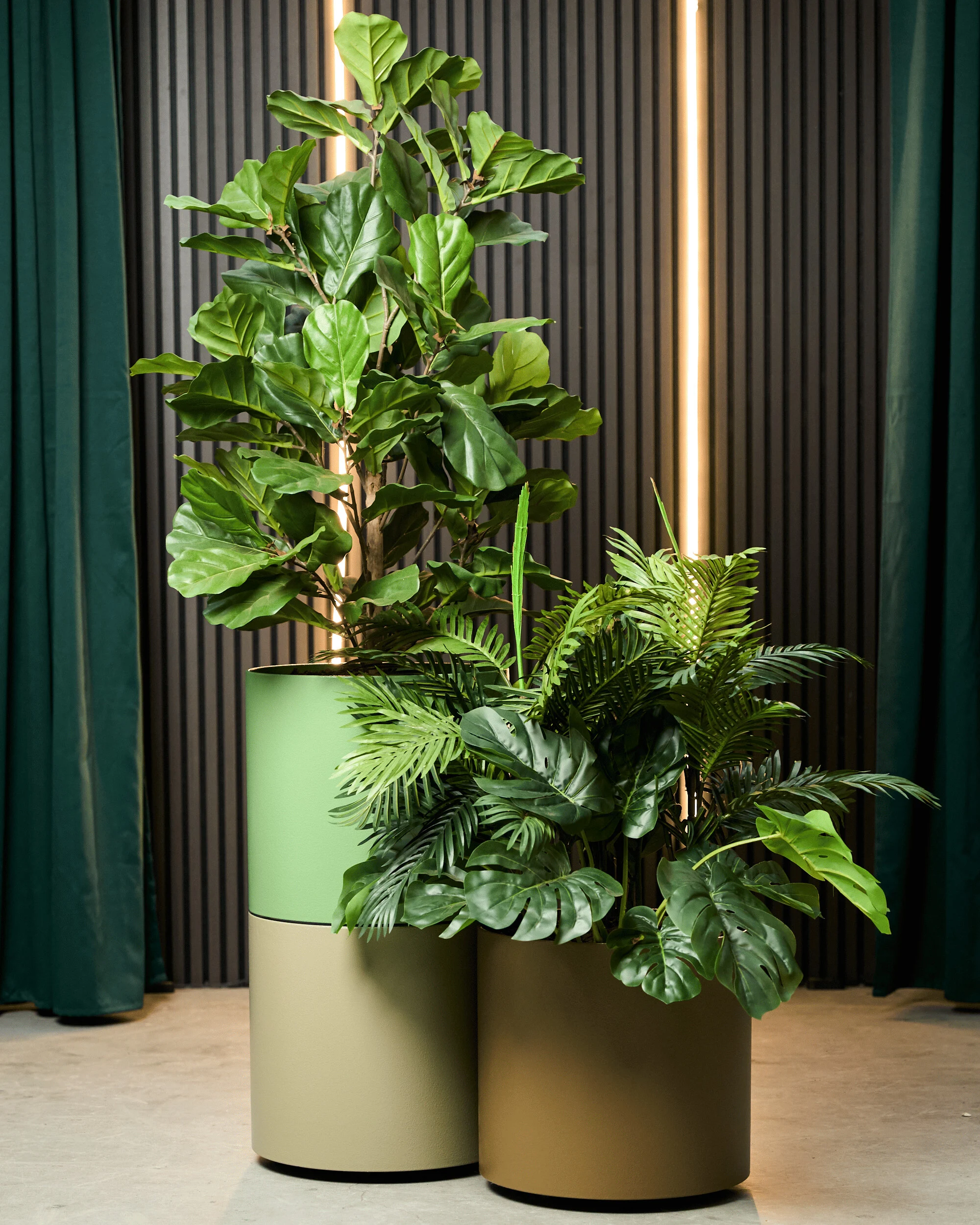 Daarbak Plant - Planter til kontoret