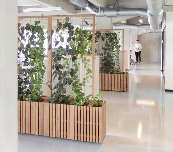 GrowLARGE Double med espalier