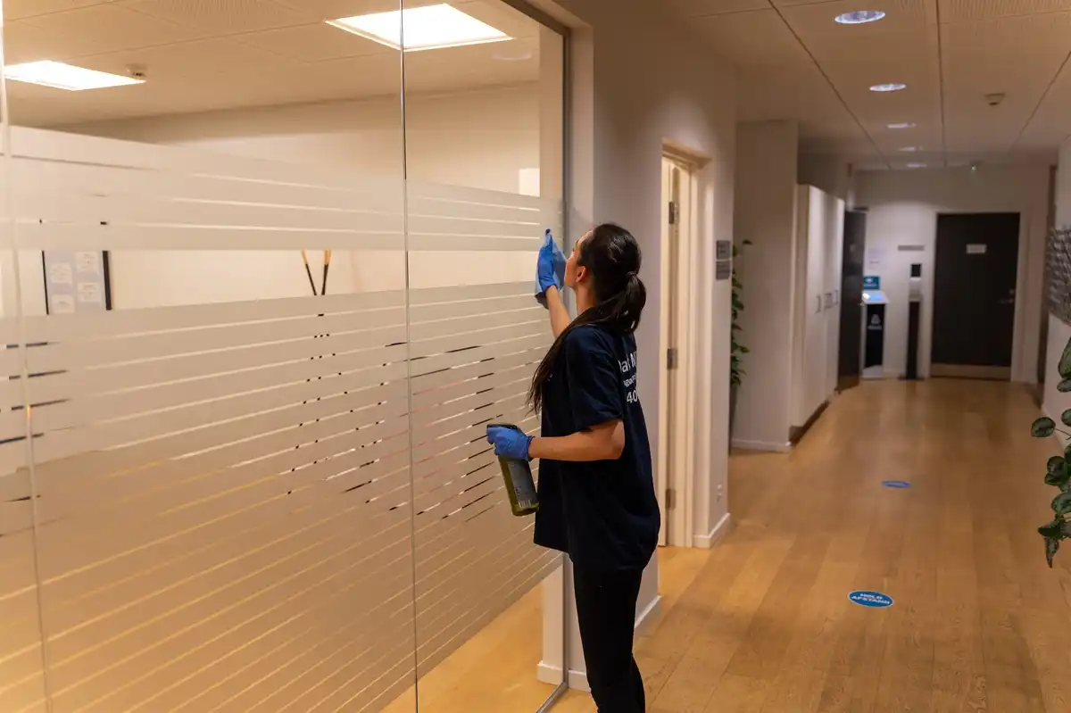 Dansk Miljø - Rengøring af internt glas