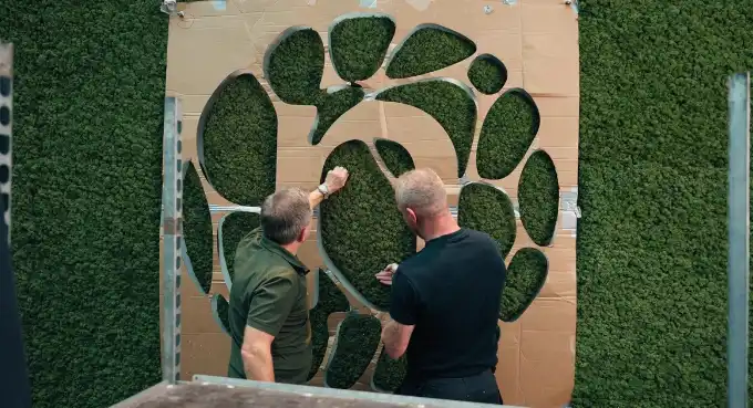 Daarbak Plant - Plantevægge