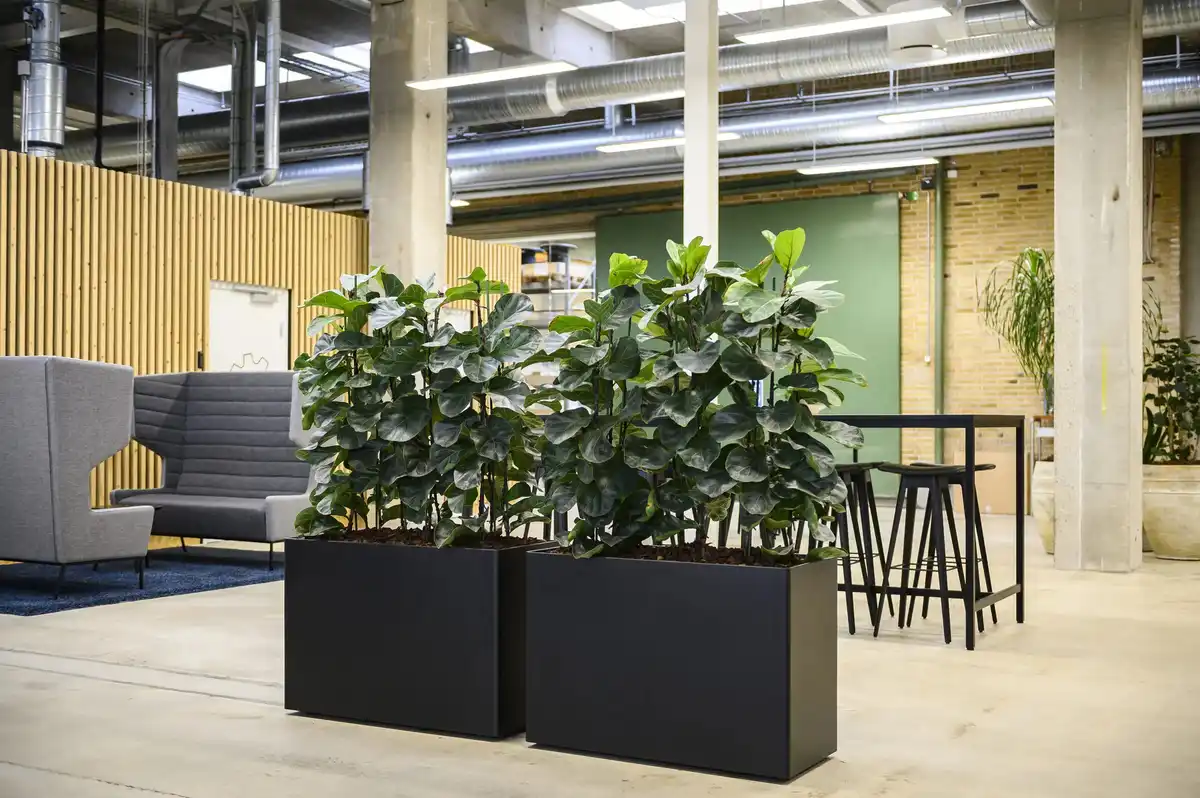 Daarbak Indoordesign A/S - Planter i fællesområder