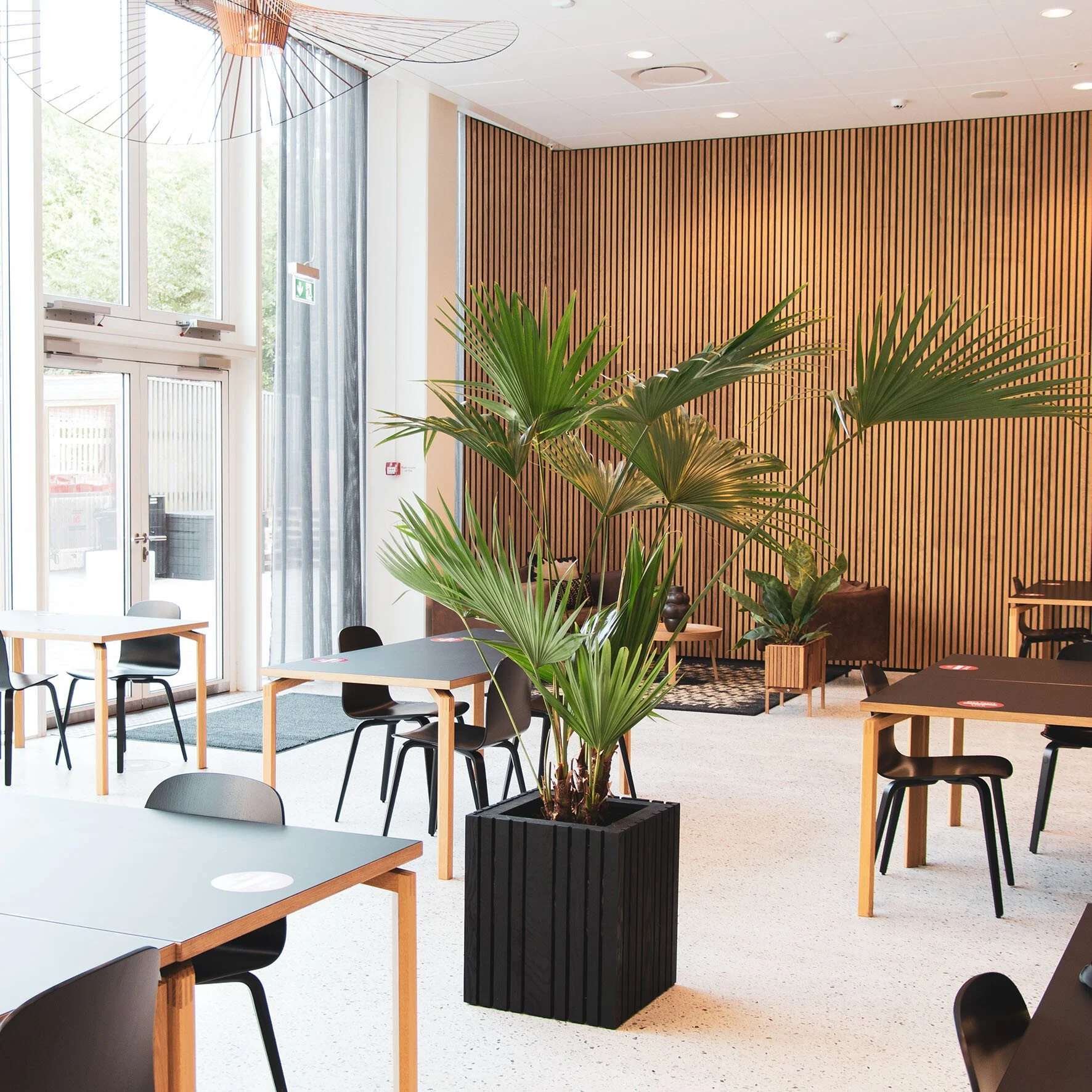 Squarely ApS - Store plantekasser i kantinen