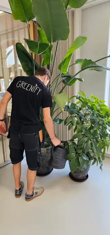 Planteservice – Udførende Besøg (30-50 planter)