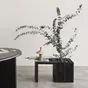 Planter with a table, SQUARELY GrowMORE with GrowTABLE Black Ash