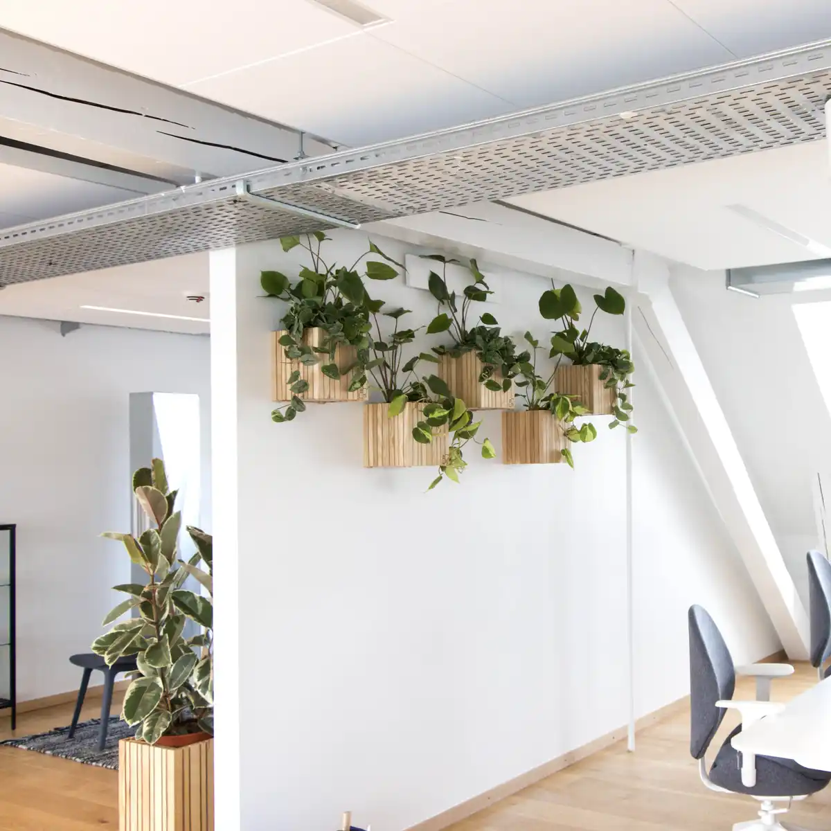 Squarely ApS - Plantevæg