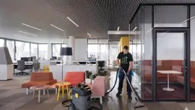 Carpet cleaning