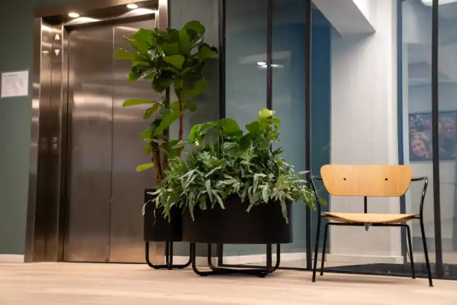 Daarbak Plant - Planteløsninger