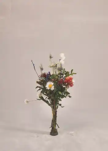 Markvejen