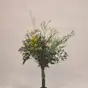 Vindstille