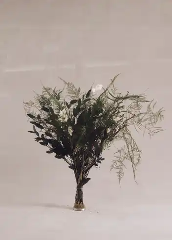 Skovflor