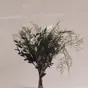 Skovflor
