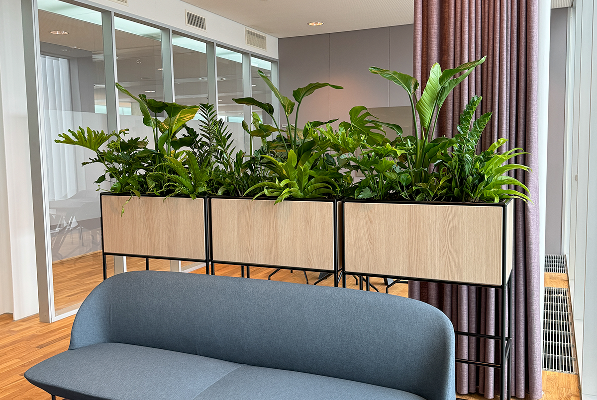 Greenify - Skab rum i rummet med frodige plantekasser