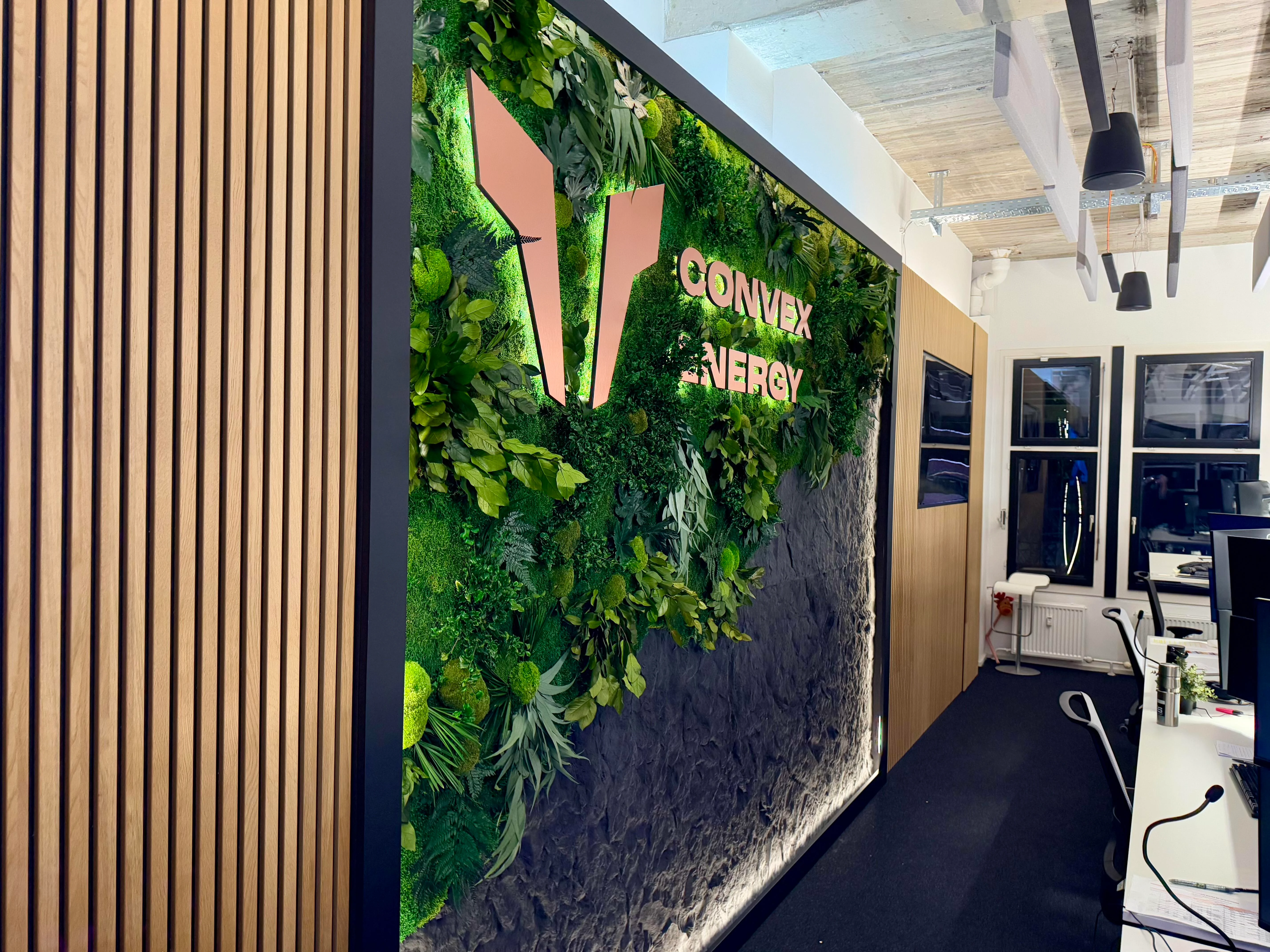 Plant walls and moss walls