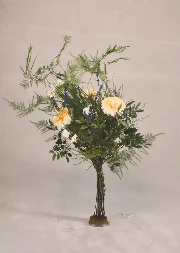 Dahlia-Drøm