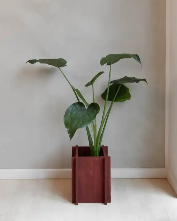 BloomON Terracotta Red