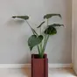 BloomON Terracotta Red
