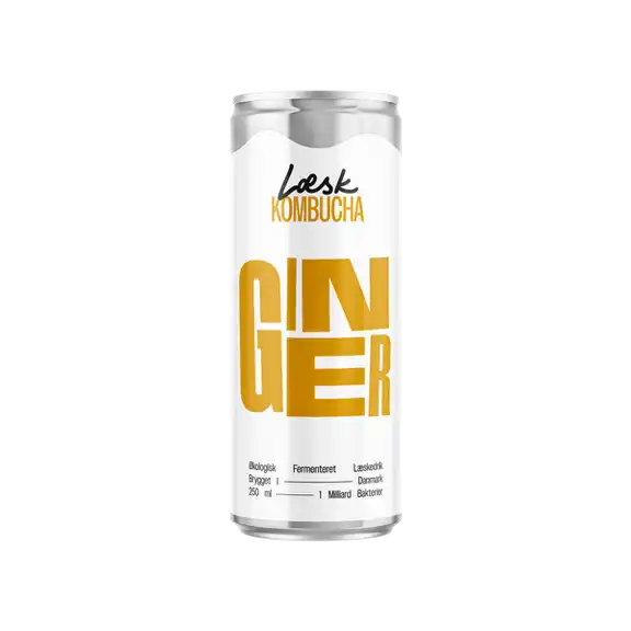 Læsk øko kombucha ingefær