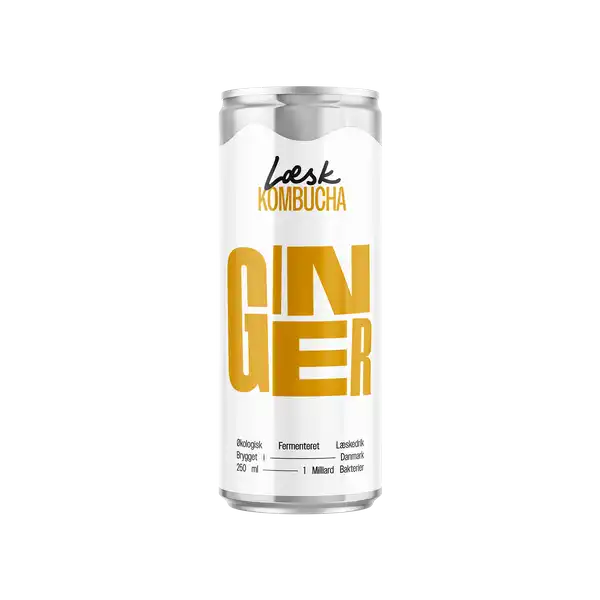 Læsk øko kombucha ingefær