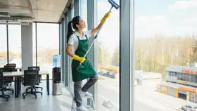 Fensterreinigung