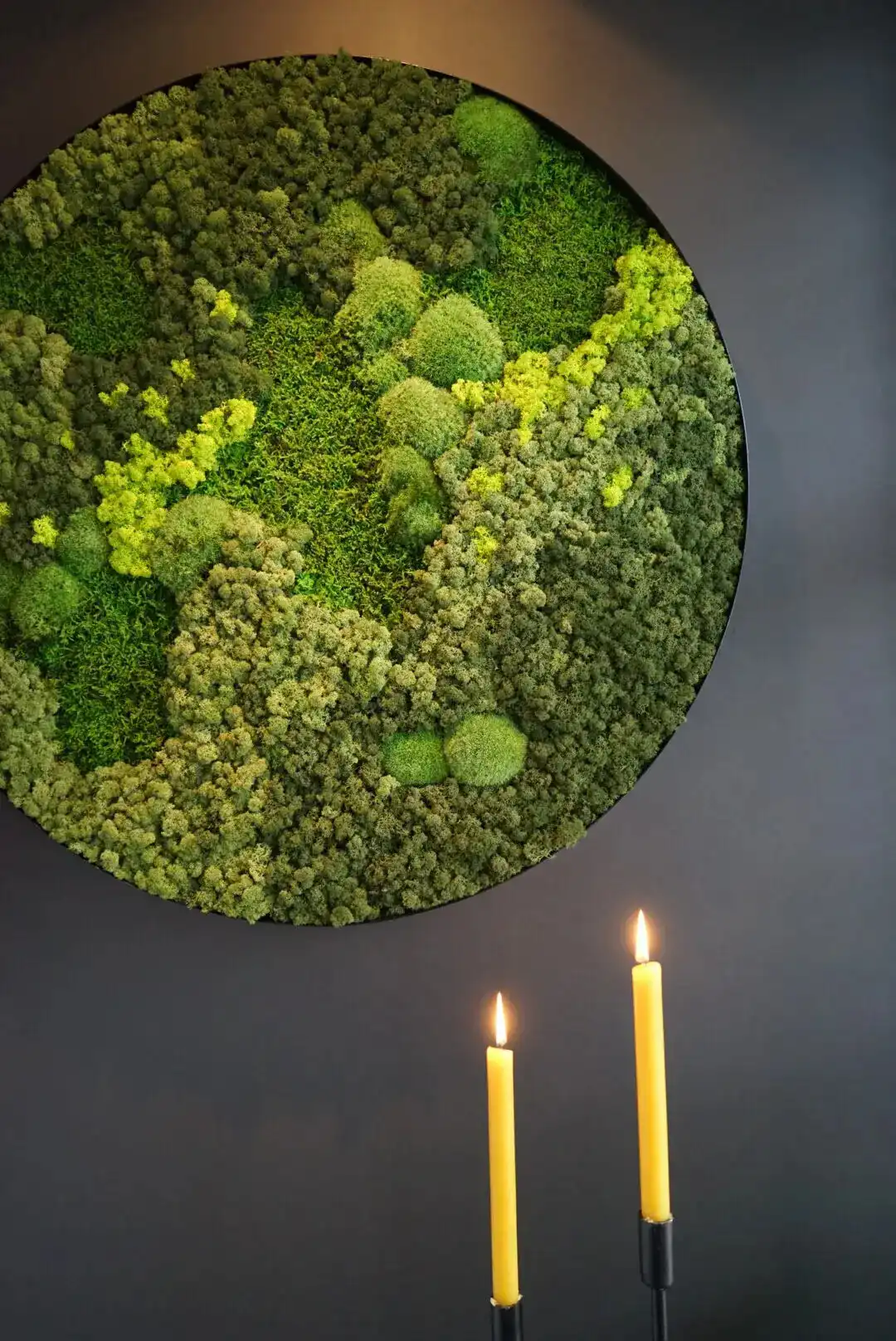 Daarbak Indoordesign A/S - Plantedekorationer