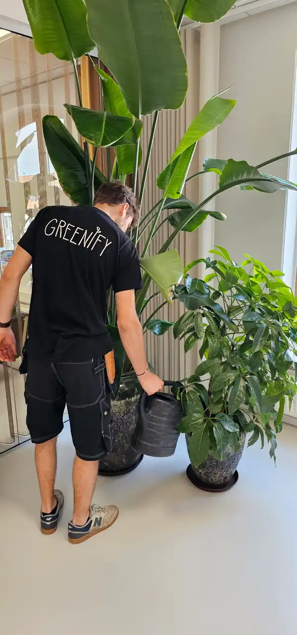 Planteservice – Udførende Besøg (15-30 planter)