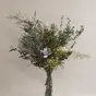 Lavendel