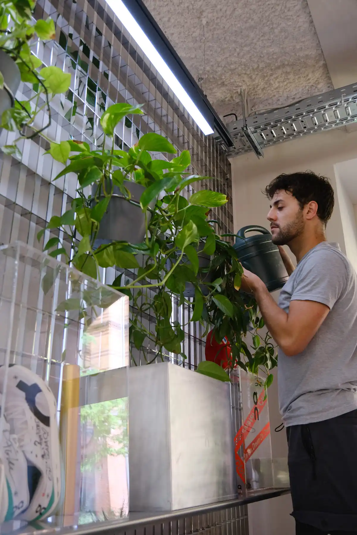Plantclub - Pflanzenpflege mit Herz – wir halten Ihr Büro grün!