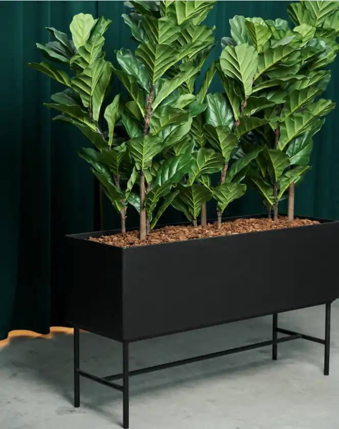 Daarbak Plant - Planteløsninger