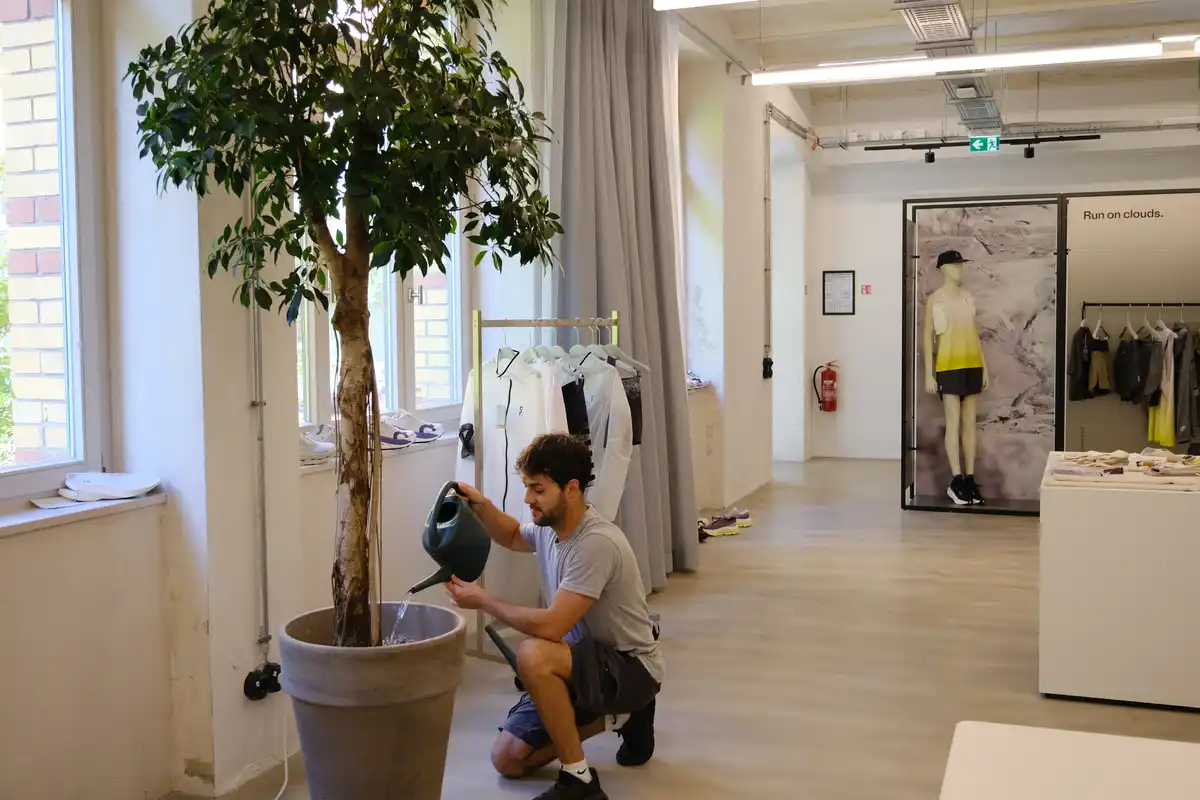 Plantclub - Wir kümmern uns alle zwei Wochen um Ihre Pflanzen 🌿