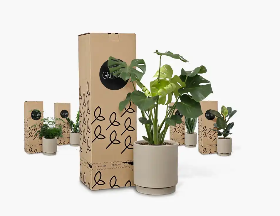 Greenify - Firmagaver