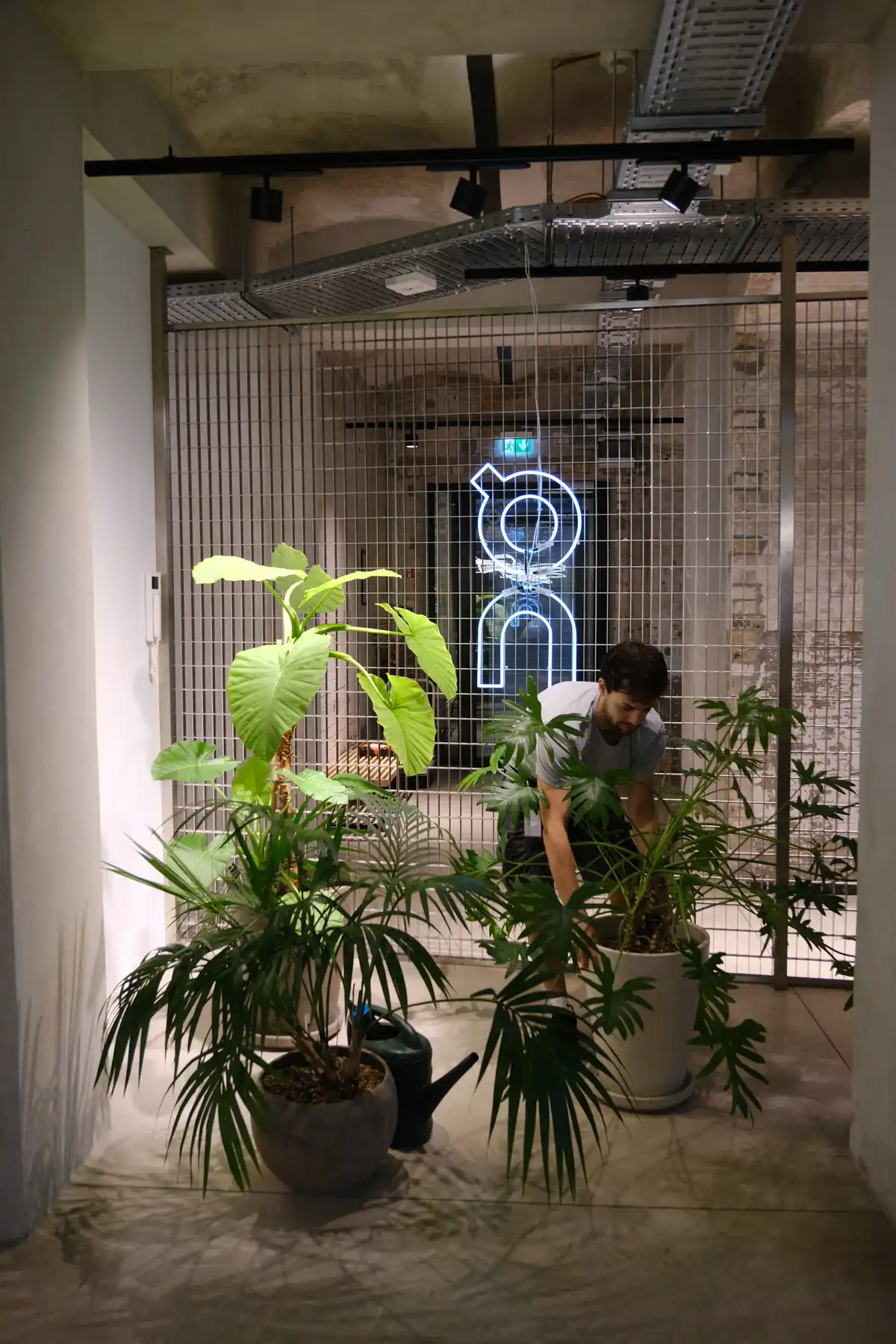 Plantclub - Gesunde Pflanzen, gepflegtes Büro – das ist Plantclub!