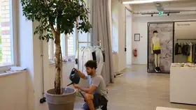 Plant service