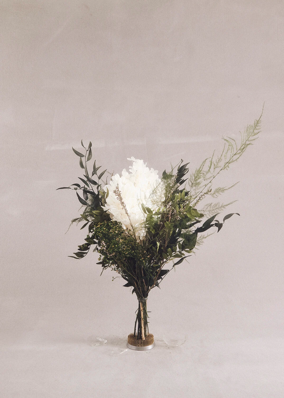 Syrenhortensia