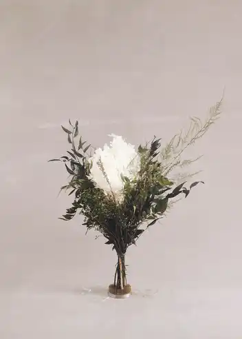 Syrenhortensia