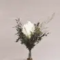 Syrenhortensia