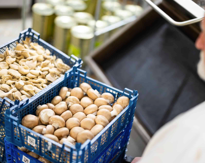 Loop Catering ApS - Friske råvarer hverdag