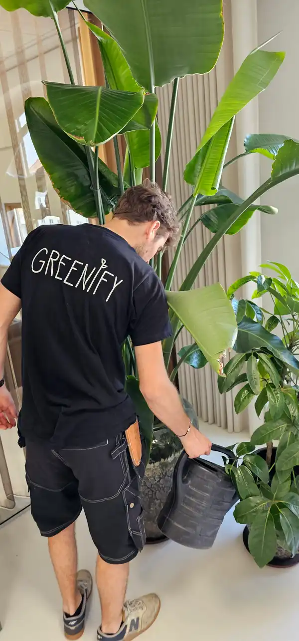 Planteservice – Udførende Besøg (1-15 planter)